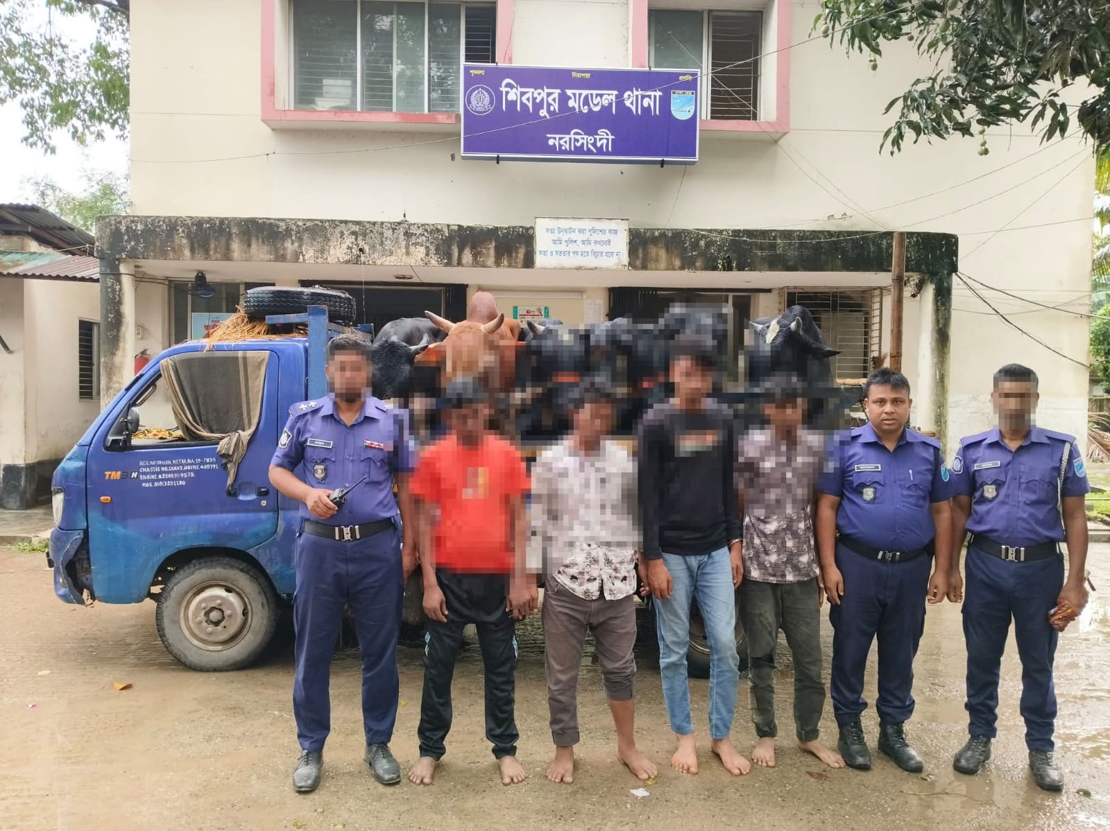 নরসিংদীতে ছিনতাই হওয়া গরুভর্তি ট্রাক উদ্ধার, আটক ৪