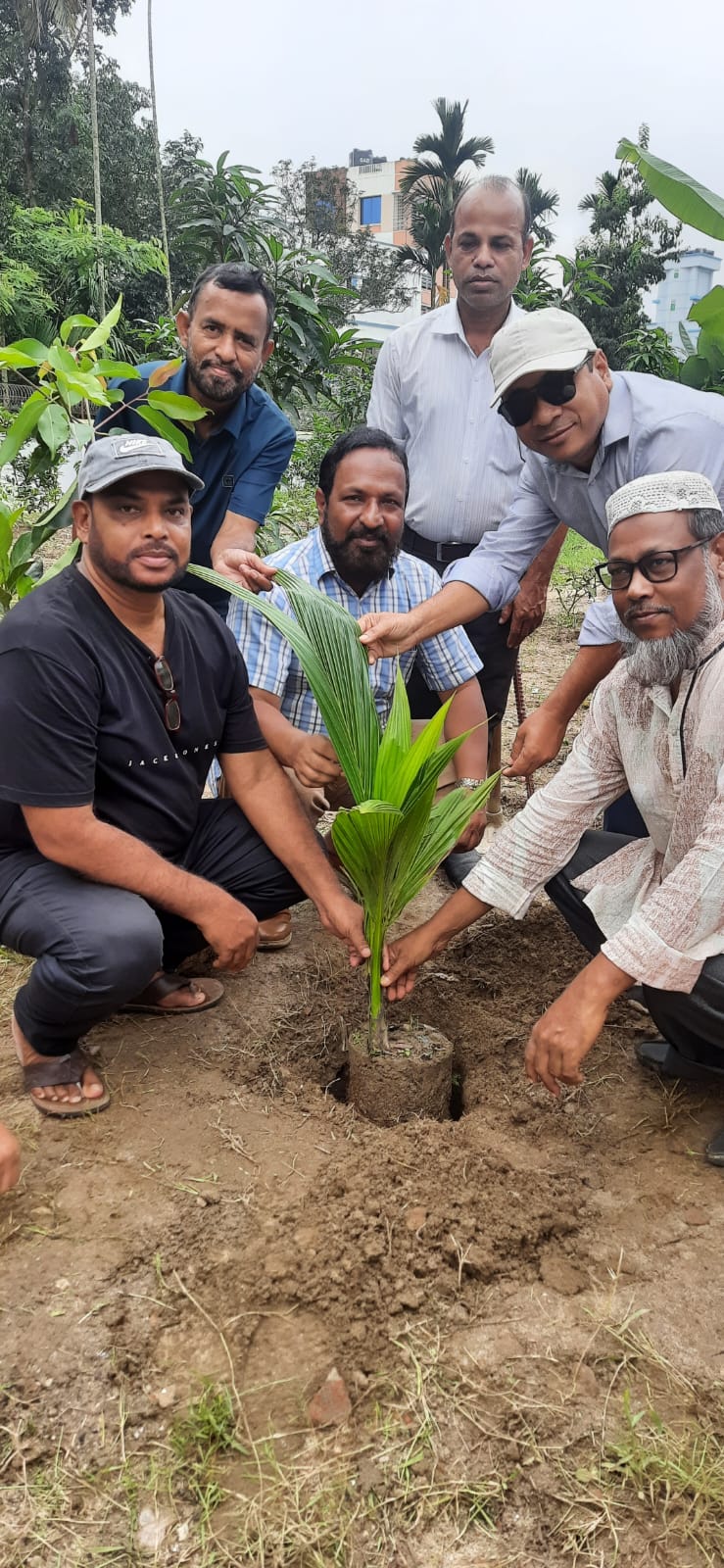 আশার উদ্যোগে সিলেটে  সহস্রাধিক গাছের  চারা বিতরণ।