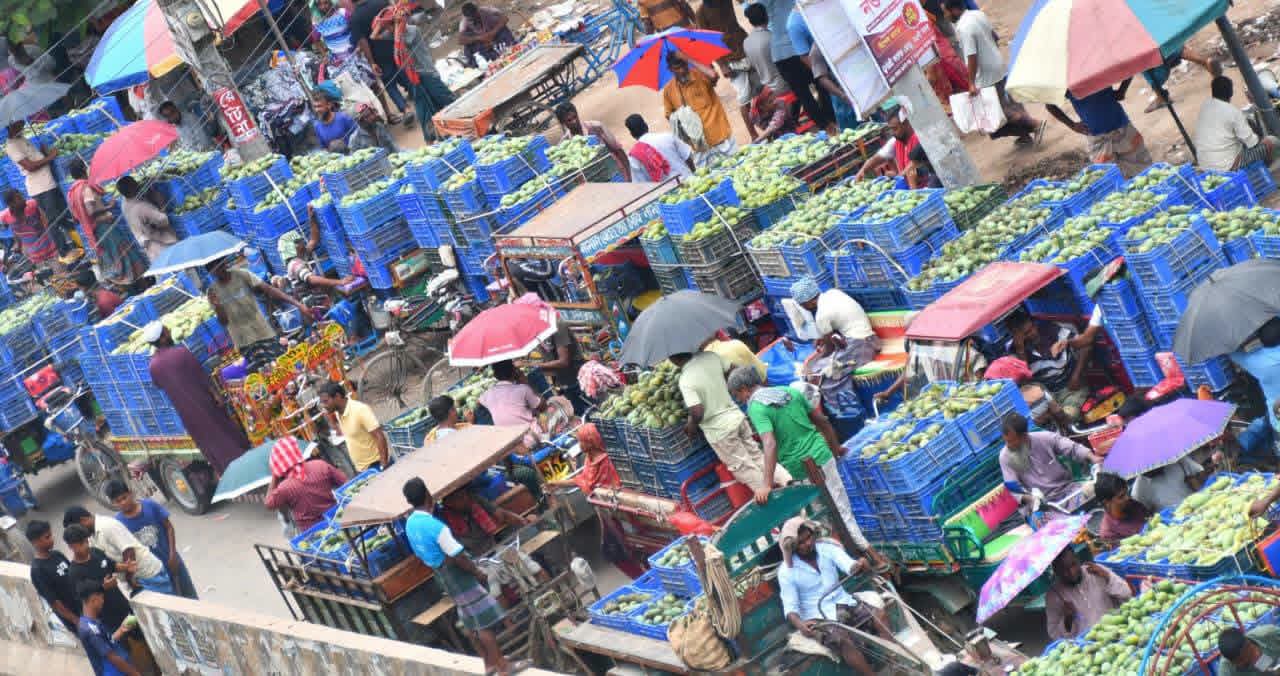 যতদূর চোখ যায়, শুধু আম আর আম—সাপাহারে জমে উঠেছে দেশের বৃহত্তম আমের বাণিজ্যকেন্দ্র।