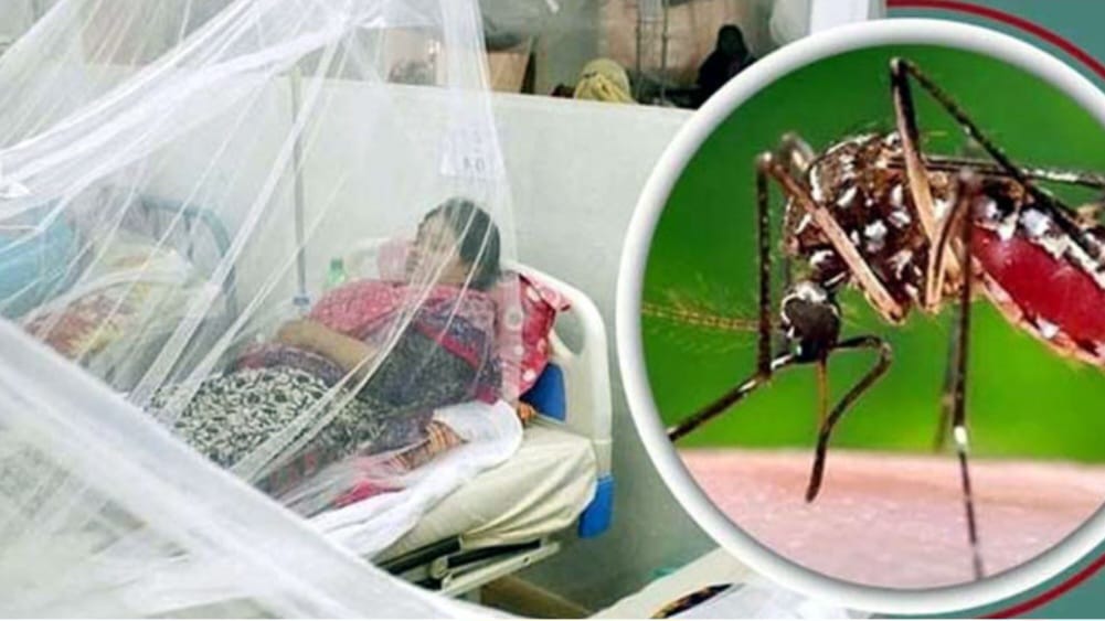 সারাদেশে ডেঙ্গু আক্রান্ত হয়ে হাসপাতালে ভর্তি ২৩৯।