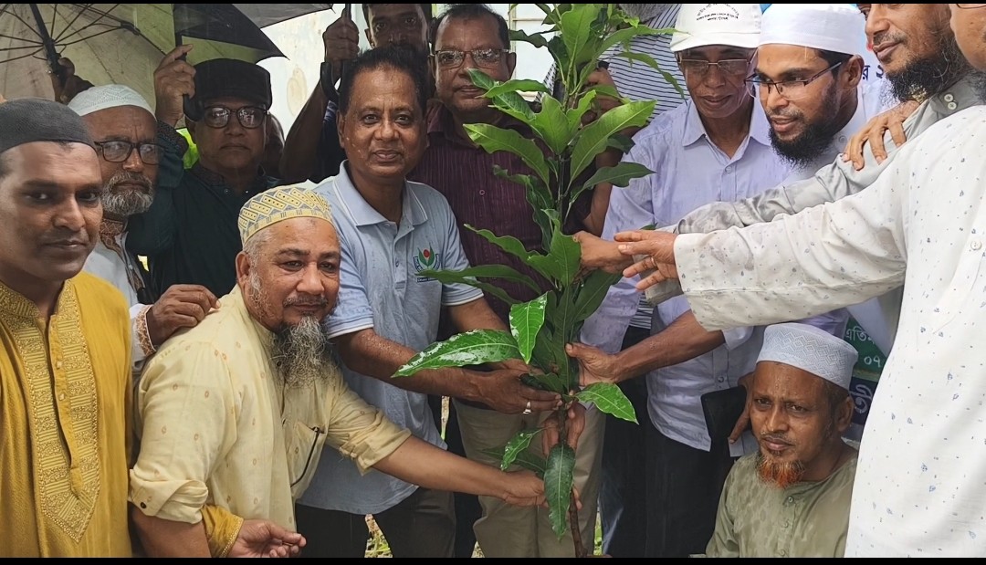 কলাপাড়ায় পৌরওলামা দলের উদ্যোগে বৃক্ষরোপণ কর্মসূচি উদ্বোধন করলেন এমপি মোশাররফ।