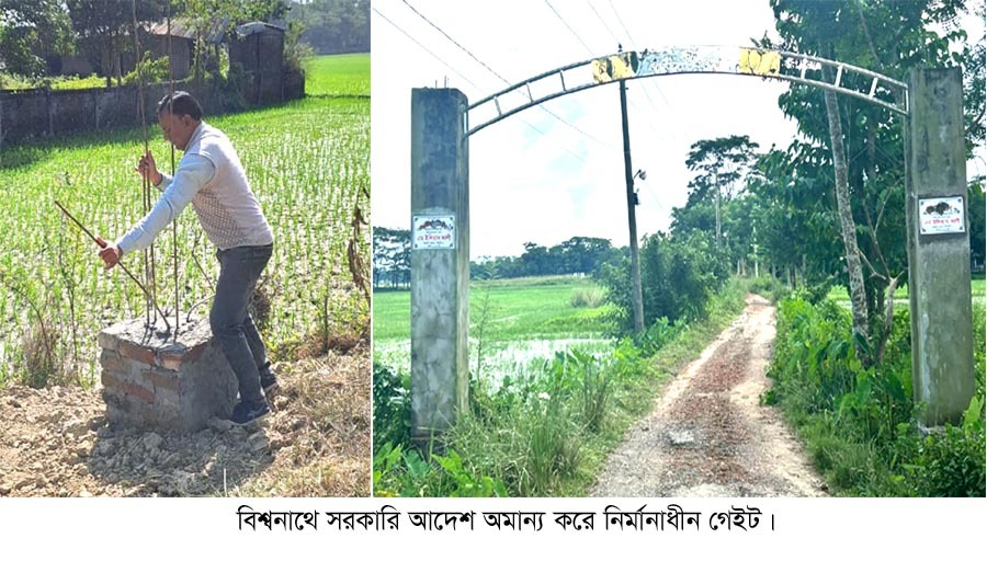 বিশ্বনাথে সরকারী আদেশ অমান্য  করে সড়কে গেইট নির্মাণের অভিযোগ  ২০২৫ সালে সাবেক এমপির নামে নাম ফলক স্থাপন।