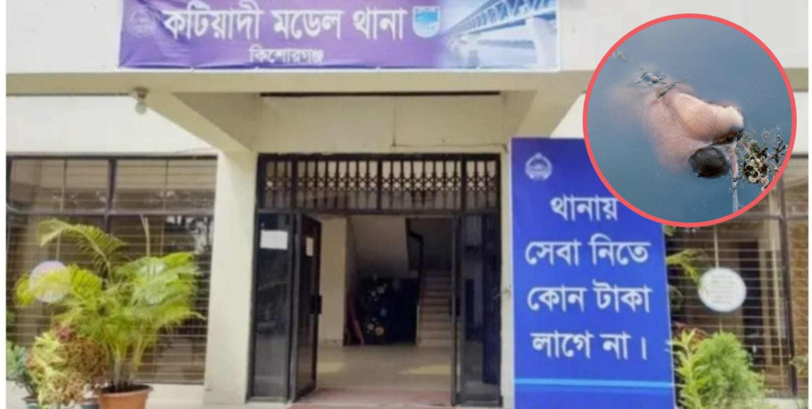 কটিয়াদীতে পুকুর থেকে এক ব্যক্তির ভাসমান মরদেহ উদ্ধার।