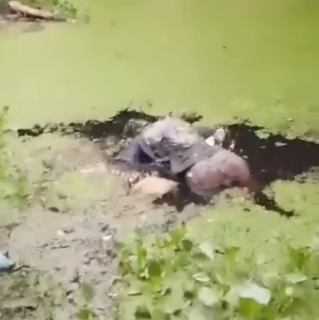 নাসিরনগরে ডুবা থেকে অজ্ঞাত ব্যক্তির লাশ উদ্ধার আতঙ্কে পুরো এলাকাবাসী!
