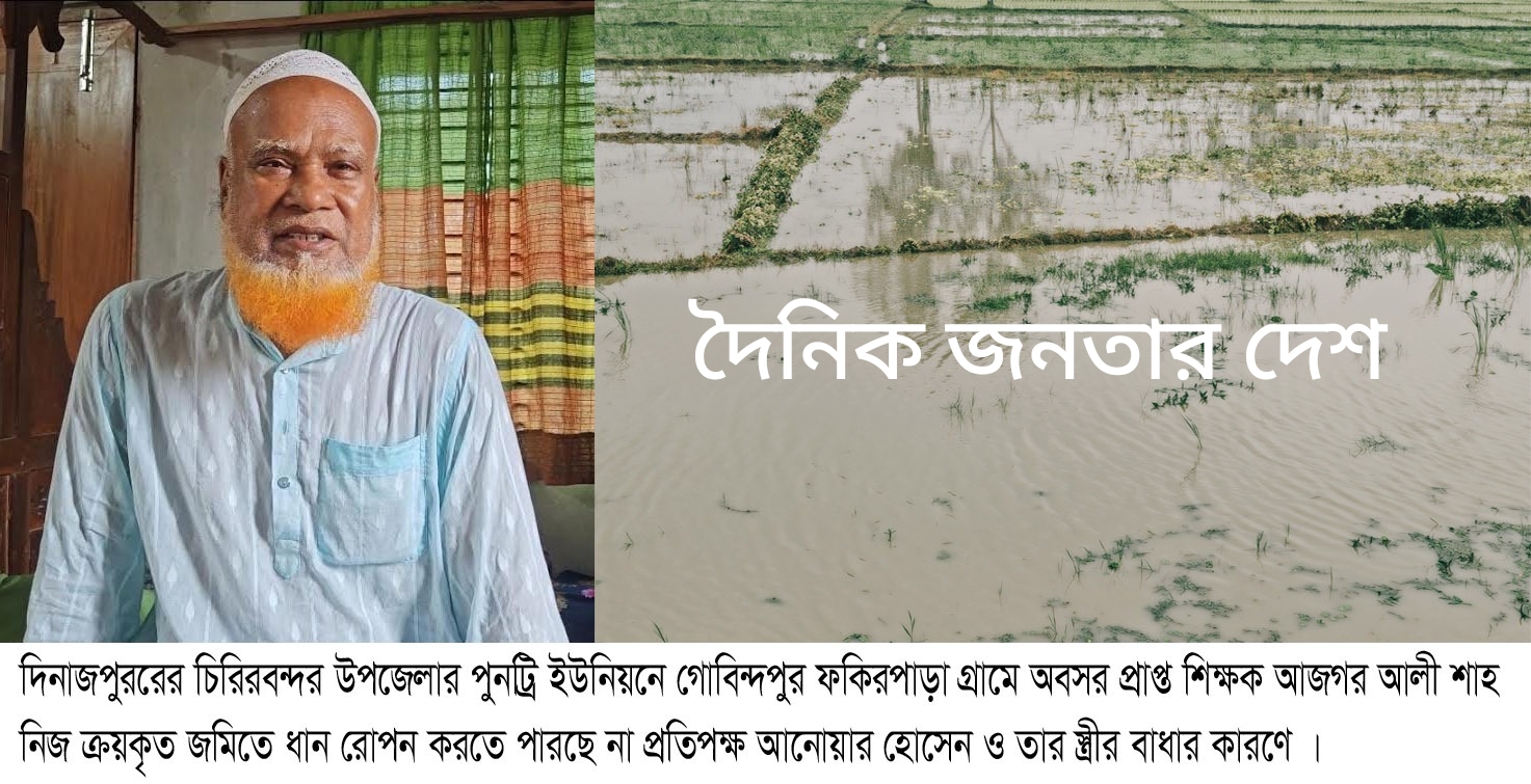 নিজের ক্রয়কৃত জমিতে ধান চাষ করতে পারছেন না, প্রতিপক্ষের বাধার কারণে সাবেক শিক্ষক আজগর আলী শাহ।