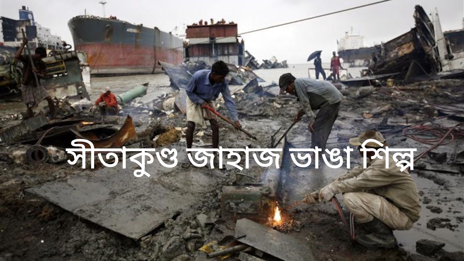 আজ ১৫ আগস্ট, ২০২৬ এর গুরুত্বপূর্ণ জাতীয় ও আন্তর্জাতিক  আপডেট সংবাদ।