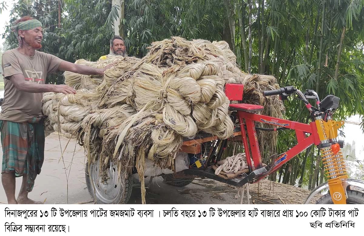 দিনাজপুরের ১৩টি উপজেলায় পাটের জমজমাট বাজার, প্রায় ১০০ কোটি টাকার ব্যবসার আশা!