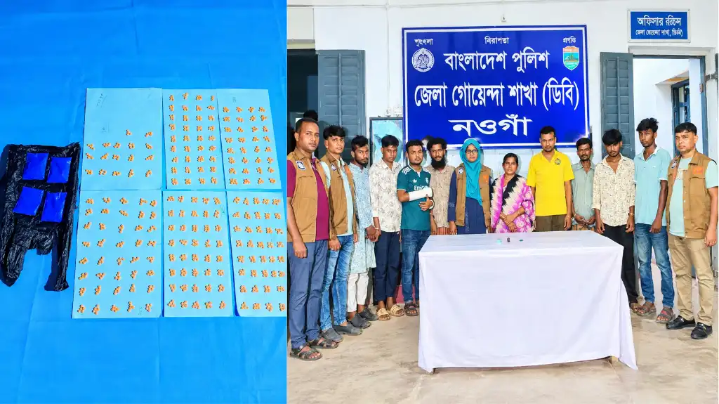 নওগাঁয় নুনিয়াপট্টি-সুইপার কলোনিতে বড় মাদকবিরোধী অভিযান, ইয়াবাসহ গ্রেপ্তার ৯!