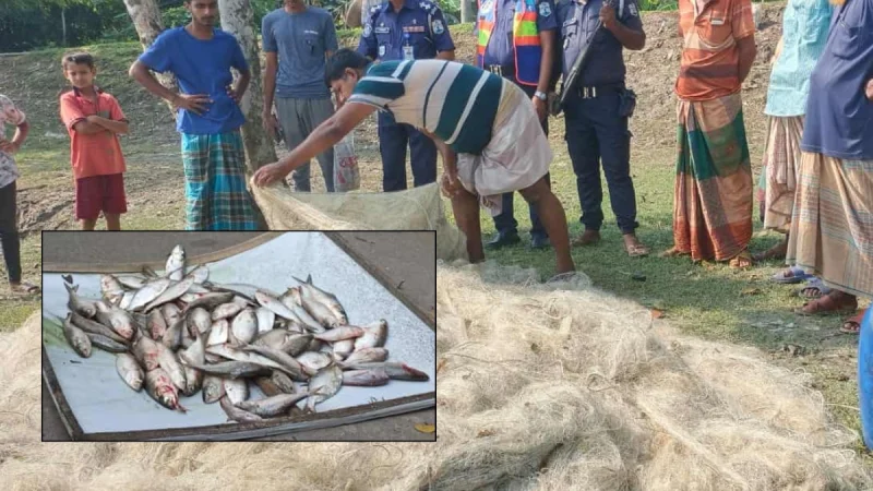 থামছে না মা ইলিশ ধরা; এখনই প্রয়োজন টেকসই পরিকল্পনা!