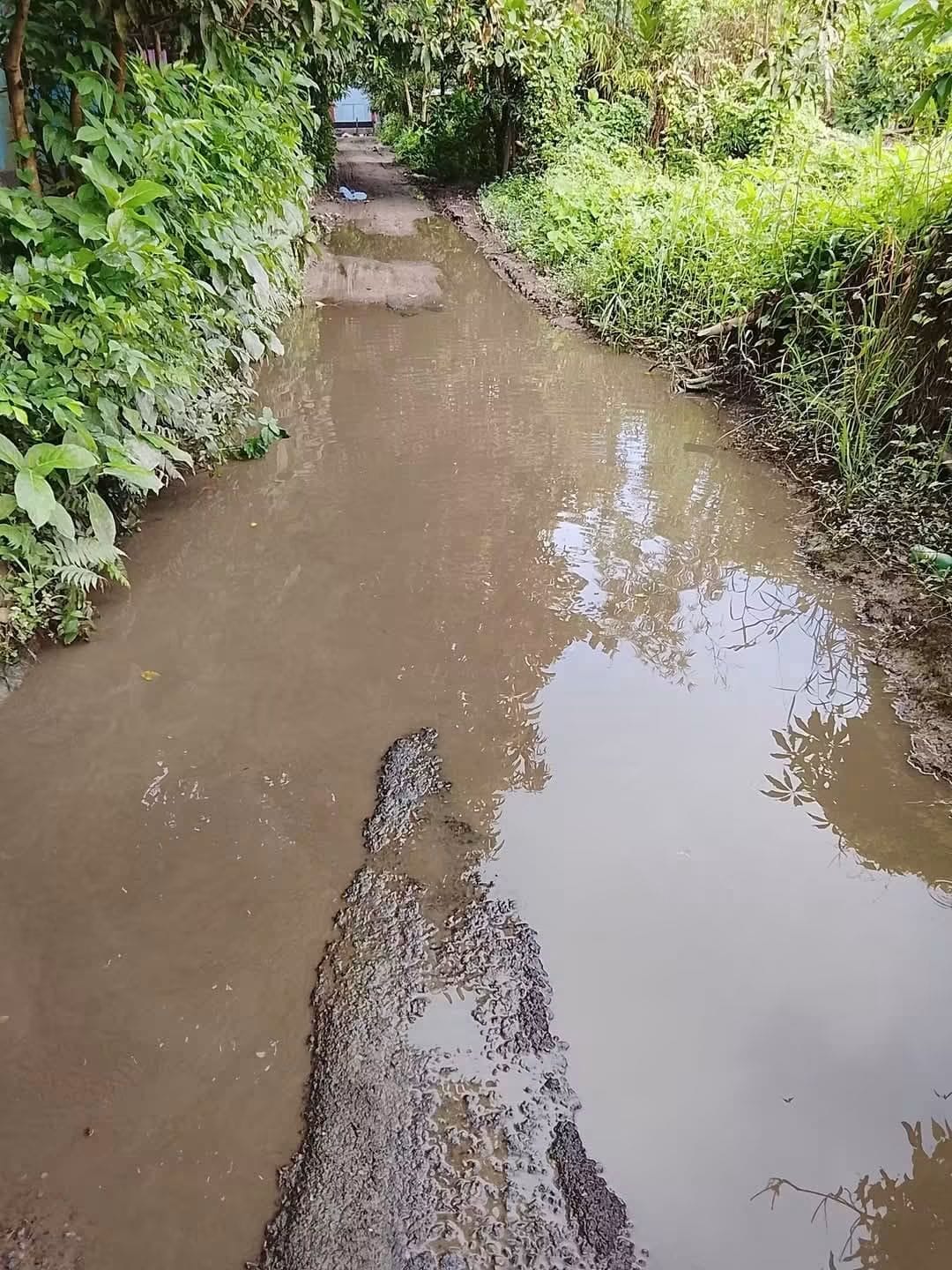 রাস্তা নাকি নদী! নবীনগরের বানিয়াচং মোড় থেকে দীর্ঘসাইর রাস্তার বেহাল দশায় জন দুর্ভোগ চরমে!