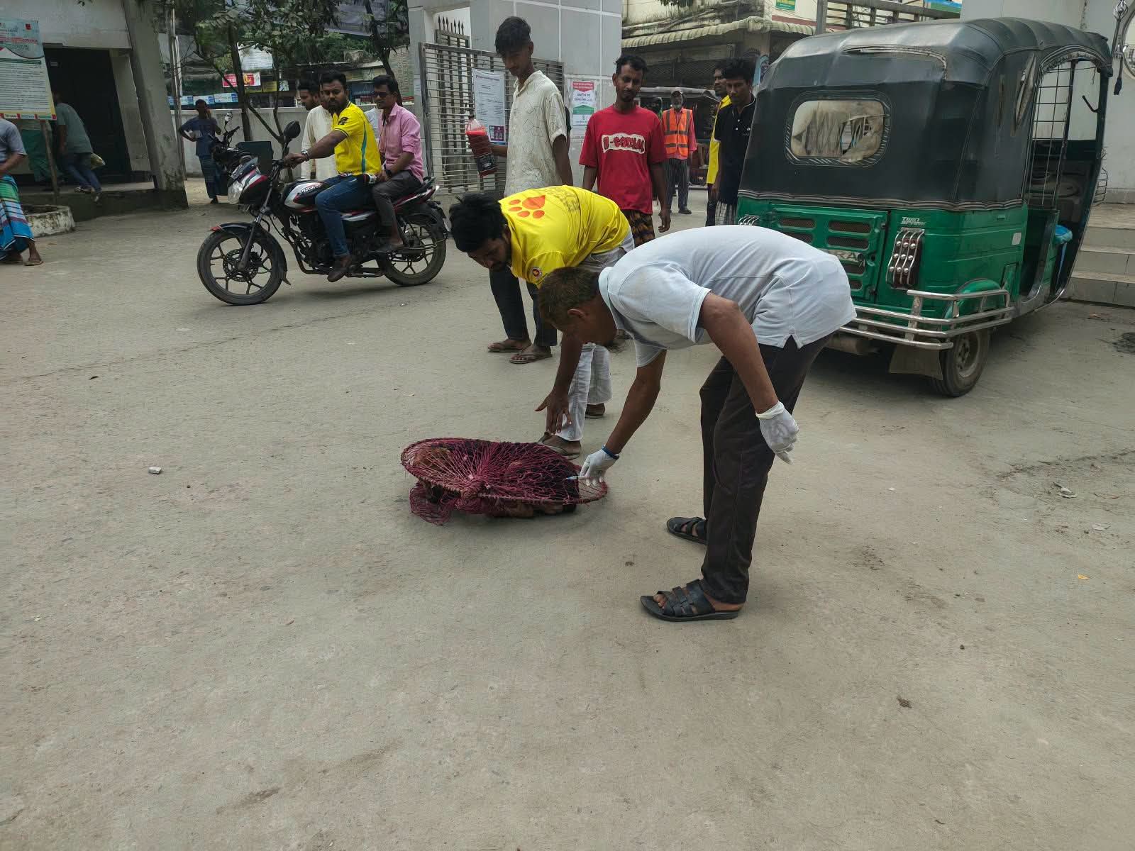 বাঞ্ছারামপুরে জলাতঙ্ক প্রতিরোধে ২০২টি পথকুকুরকে টিকাদান!