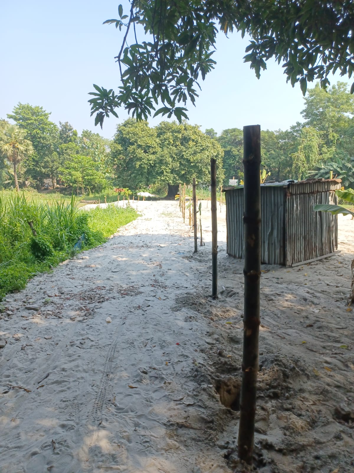 কালীগঞ্জে ভূমি কর্মকর্তার নির্দেশ অমান্য করে বিরোধপূর্ণ জমিতে বাঁশের খুঁটি স্থাপনের অভিযোগ!